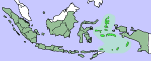Moluccas in pale green. Ternate & Tidore near the top, Banda to south.
